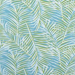Sunbrella Thibaut West Palm Woven Kiwi on Spa Blue W80563 Oasis Collection Upholstery Fabric
