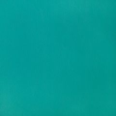 Sunbrella Capriccio Aquamarine 10200-0021 Horizon Foam Back Marine Upholstery Fabric