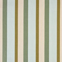 Sunbrella Gateway Aloe 14092-0000 Perspectives Collection Upholstery Fabric