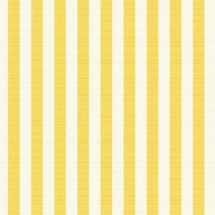 Sunbrella Sail Away Sunflower 40606-0001 Perspectives Collection Upholstery Fabric