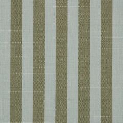 Sunbrella Sail Away Aloe 40606-0002 Perspectives Collection Upholstery Fabric