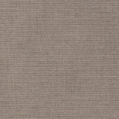 Sunbrella Remix Mushroom 48145-0004 Upholstery Fabric