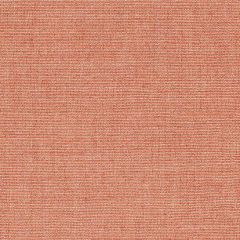 Sunbrella Remix Mesa 48145-0005 Upholstery Fabric