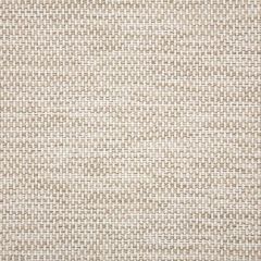 Sunbrella Mainstreet Putty 42048-0012 Upholstery Fabric