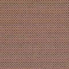 Sunbrella by Alaxi Cambria Truffle Best of Alaxi Collection Upholstery Fabric