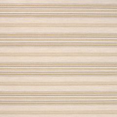 Sunbrella by Alaxi Cairo Camel Light And Shadows Collection Upholstery Fabric