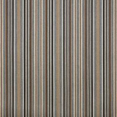 Sunbrella Makers Collection Cultivate Stone 56107-0000 Upholstery Fabric