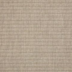 Sunbrella Burdock Sand 6835-0003 Sling Upholstery Fabric