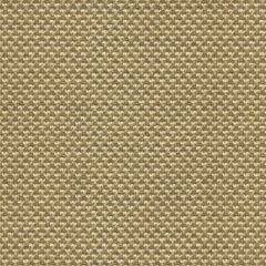 Kravet Sunbrella Polo Texture Driftwood 31938-106 Oceania Indoor Outdoor Collection Upholstery Fabric