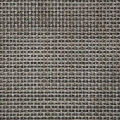 Sunbrella Framework Tungsten 50200-0003 Sling Upholstery Fabric