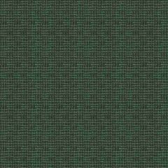 Lee Jofa Modern Sunbrella Porto Evergreen GWF-3422-830 Terra Firma Textiles Collection by Kelly Wearstler Upholstery Fabric