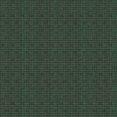 Lee Jofa Modern Sunbrella Porto Evergreen GWF-3422-830 Terra Firma Textiles Collection by Kelly Wearstler Upholstery Fabric