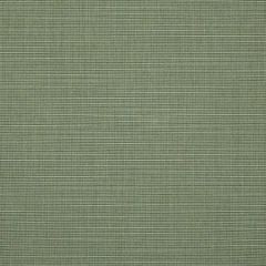 Sunbrella Silica Sage 4896-0000 46-Inch Awning / Marine Fabric