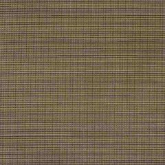 Sunbrella Destiny Walnut 50078-0003 Sling Upholstery Fabric