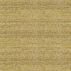 Kravet Sunbrella 31695-416 Upholstery Fabric