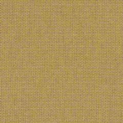 Sunbrella Sailing-Sienna 50143-0004 Sling Upholstery Fabric