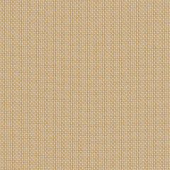 Sunbrella Robben Wheat ROB R003 140 European Collection Upholstery Fabric