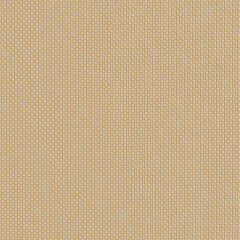 Sunbrella Robben Wheat ROB R003 140 European Collection Upholstery Fabric