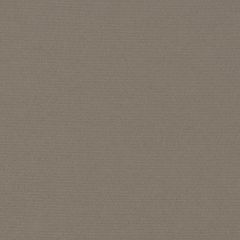 Firesist Grey 82030-0000 60-Inch Awning / Marine Fabric