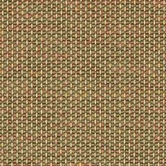 Sunbrella Igneous Sesame 5288-0001 Sling Upholstery Fabric