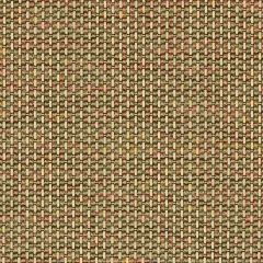 Sunbrella Igneous Sesame 5288-0001 Sling Upholstery Fabric