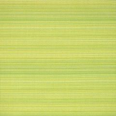 Silver State Sunbrella Magic Lime High Society Collection Upholstery Fabric
