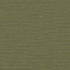 Sunbrella by Mayer Soleil Jade 416-003 Imagine Collection Upholstery Fabric