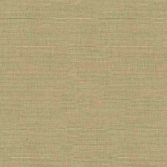 Kravet Sunbrella Tan 33225-1616 Soleil Collection Upholstery Fabric