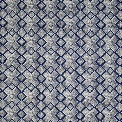 Silver State Sunbrella Cape Town Indigo Roman Holidays Collection Upholstery Fabric