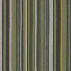 Sunbrella by Mayer Infinity Jade 415-003 Imagine Collection Upholstery Fabric