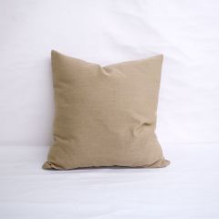 Indoor/Outdoor Sunbrella Canvas Heather Beige - 20x20 Throw Pillow