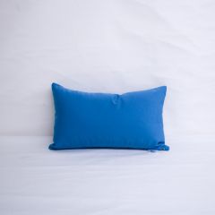 Indoor/Outdoor Sunbrella Canvas Sky Blue - 20x12 Throw Pillow