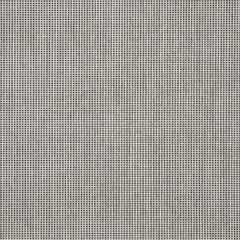 Sunbrella Icon Volt Silver 58020-0000 Upholstery Fabric