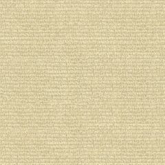 Kravet Sunbrella Beige 25763-16 Guaranteed in Stock Upholstery Fabric