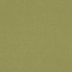 Sunbrella by Mayer Soleil Wasabi 416-013 Imagine Collection Upholstery Fabric