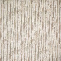 Silver State Sunbrella Quark Oak Roman Holidays Collection Upholstery Fabric