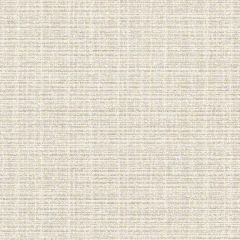 Sunbrella by CF Stinson Contract Catalina Quartz 63500 Upholstery Fabric