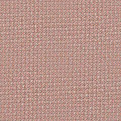 Sunbrella Lopi Peach LOP R024 140 European Collection Upholstery Fabric