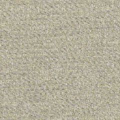 Sunbrella Tundra Moss TUN J213 140 European Collection Upholstery Fabric