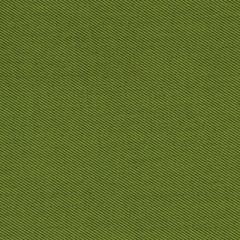 Robert Allen Sunbrella Contract St Tropez Keylime 222298 Upholstery Fabric