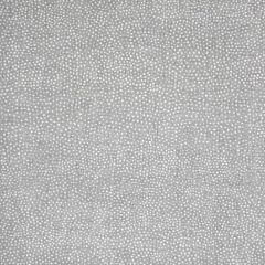 Silver State Sunbrella - Sunbrella Upholstery & Curtain Fabric