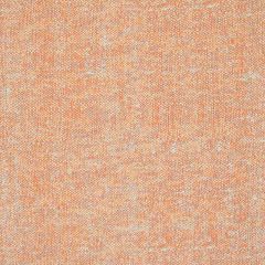 Silver State Sunbrella Primo Petal Modern Eclectic Collection Upholstery Fabric