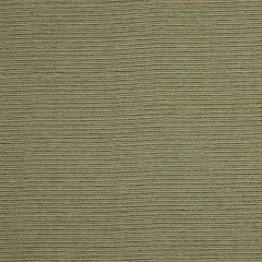 Robert Allen Sunbrella Line Count Pool  209501 Upholstery Fabric