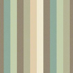 Sunbrella by CF Stinson Contract Flip Flops Milkweed 62616 Upholstery Fabric