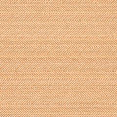 Sunbrella Posh Persimmon 44157-0003 Fusion Collection Upholstery Fabric