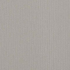 Sunbrella Trail Platinum TRL J305 140 Marine Decorative Collection Upholstery Fabric