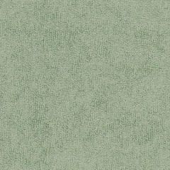 Sunbrella Moss 78007-0000 The Terry Collection Upholstery Fabric