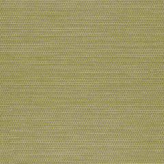 Sunbrella by Mayer Reflector Herb 433-003 Vollis Simpson Collection Upholstery Fabric