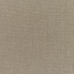 Sunbrella RAIN Canvas Taupe 5461-0000 77 Waterproof Upholstery Fabric