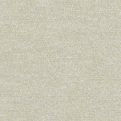 Sunbrella Palazzo Lichen PAL J225 140 European Collection Upholstery Fabric